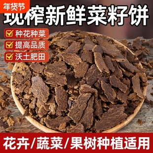 菜籽饼肥料发酵有机肥油枯饼现榨种菜种花专用肥钓鱼正宗窝料菜枯