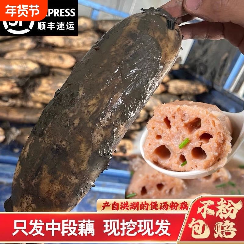 顺丰包邮正宗洪湖莲藕新鲜现挖糯米藕煲汤粉糯炖汤九孔粉藕红莲藕,水产肉类/新鲜蔬果/熟食,莲藕,淘宝优惠券,粉丝福利购,淘宝优惠卷