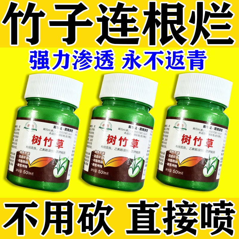 除烂根竹子专用药竹草连根除强力除烂竹粉腐蚀竹根开荒一扫光神器