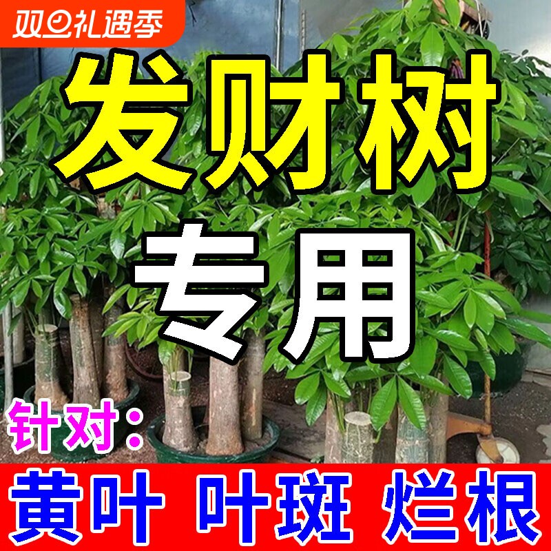 发财树专用营养液黄叶急救植物通用营养液盆栽绿植专用肥花肥肥料