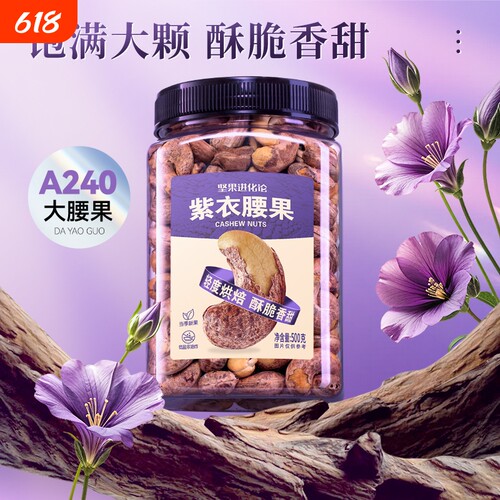 坚果进化论A240紫衣腰果500g罐装