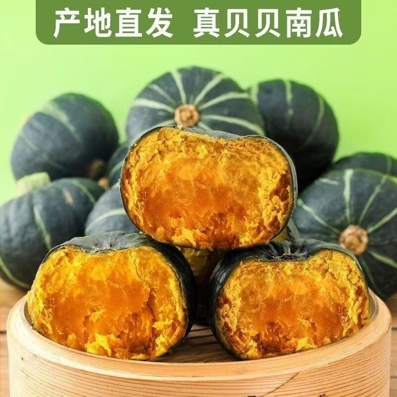 贝贝南瓜正宗板栗味南瓜新鲜当季粉糯香甜现摘现发干面辅食