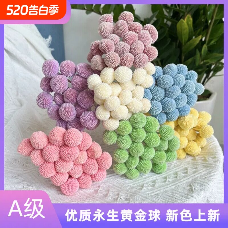 老店黄金球永生花材料创意装饰diy家居摆设真花干花花束纪念周年