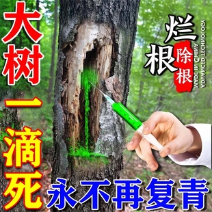 烂根除大树专用强力腐树根药一滴死专用烂根剂针枯树王灭粉竹子J