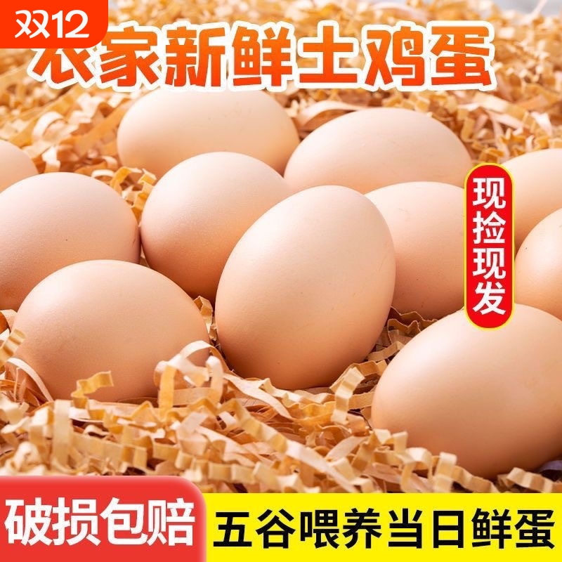 农家山林五谷喂养土鸡蛋新鲜鸡蛋笨鸡蛋草鸡蛋营养早餐鲜嫩口感