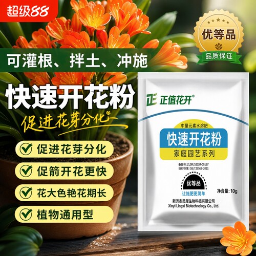 快速开花粉三角梅茶花茉莉盆栽