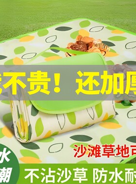 户外防潮垫加厚防水野餐垫