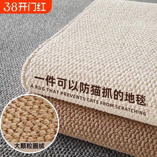 防水地毯客厅免打理免洗可擦沙发卧室床边飘窗猫抓板入户地垫拍照