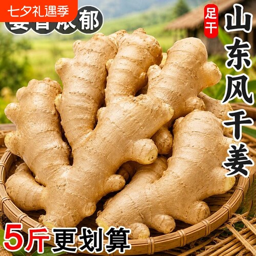 1斤1袋易存储山东大姜风干生姜