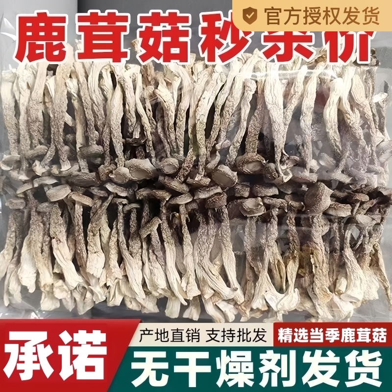 鹿茸菇干货500g新鲜云南鹿茸菌非野生特级脆脆菇煲汤食材蘑菇香菇