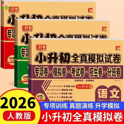 2026新款小升初真题卷小学教辅