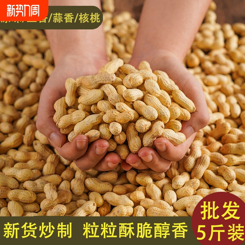 新货新炒东北红崖子红皮花生原味蒜香五香花生炒货大袋批发年货