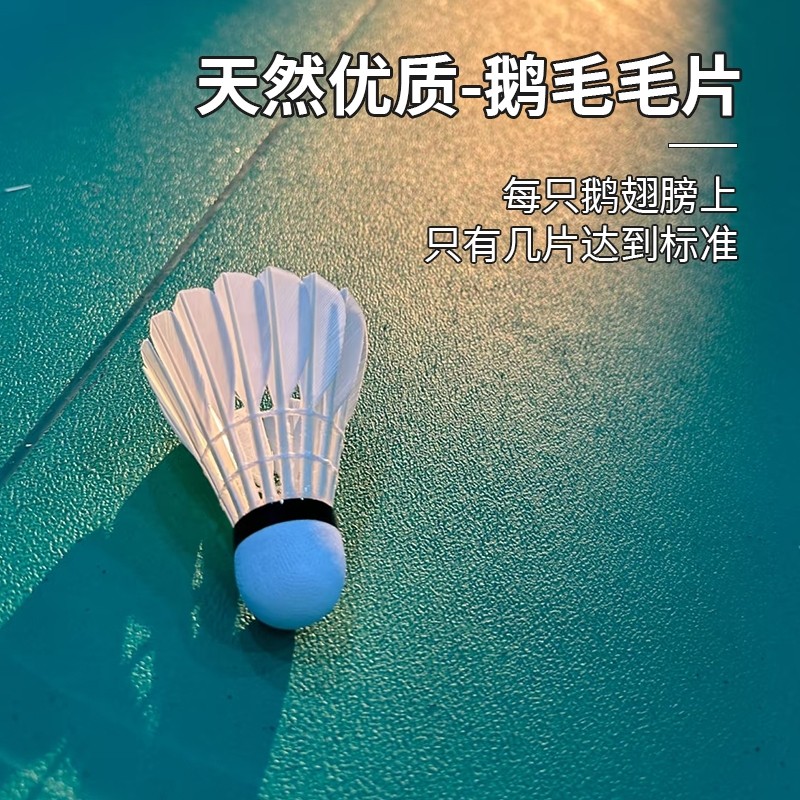 羽毛球正品耐打王室内室外训练用球6只装12只装防风稳定不易打烂