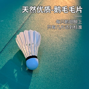 羽毛球正品耐打王室内室外训练用球6只装12只装防风稳定不易打烂
