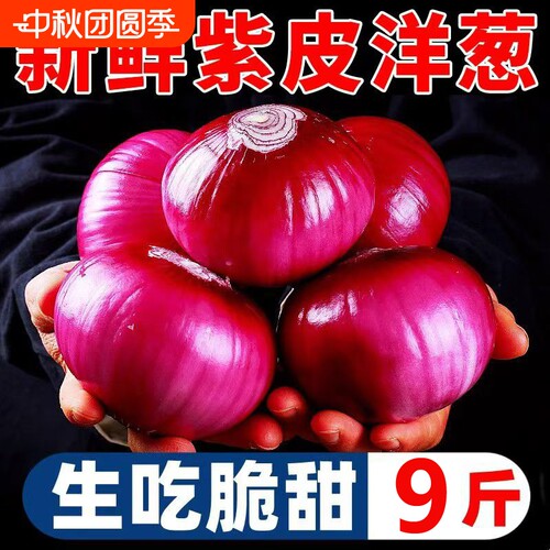 云南农家紫皮洋葱新鲜洋葱现挖产地生吃红皮葱头9斤脆甜生鲜蔬菜