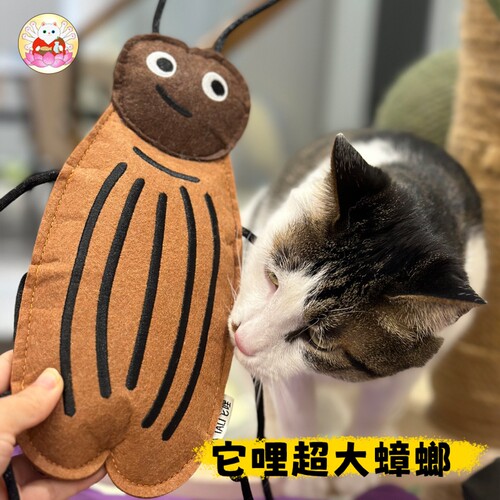 TALI它哩昆虫系列猫薄荷响铃玩具耐咬毛毡磨牙可爱蟑螂瓢虫蜻蜓