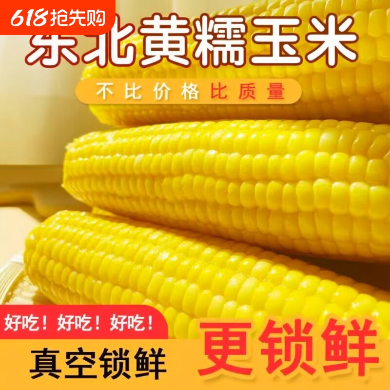 2025年新东北黄糯玉米棒甜糯玉米粘苞米即食真空锁鲜早餐粗粮代餐