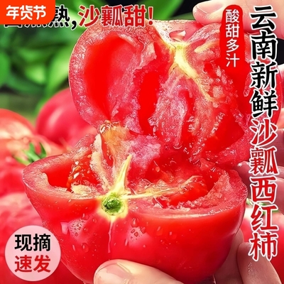 番茄新鲜自然熟爆汁西红柿5斤新鲜生吃水果农家露天沙瓤小果番茄