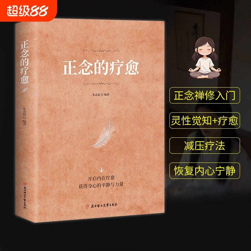 现货速发正念的疗愈正版对抗焦虑的指南乐嘉禅修入门减压疗法内心宁静开启内在身心的平静cj心灵书籍之路断舍离理解心理自我允许