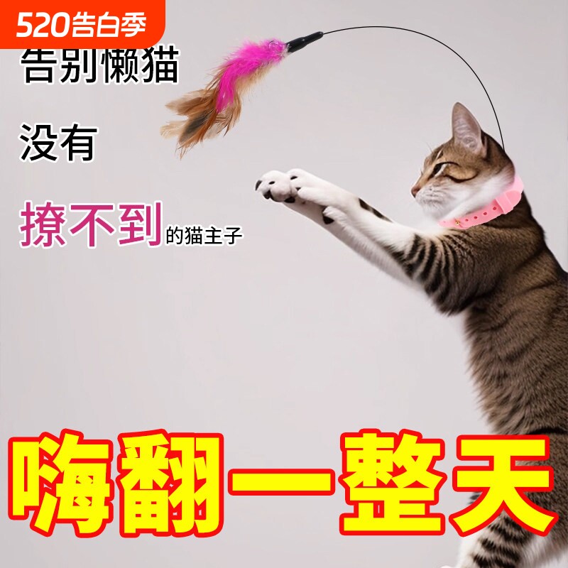 猫玩具头戴项圈逗猫棒自嗨套脖解闷神器耐抓咬羽毛猫咪玩具自动