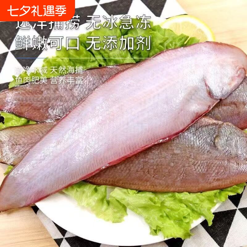 海捕龙利鱼大舌头鱼新鲜踏板鱼带皮冷冻海鱼海鲜生鲜商用批鱼片