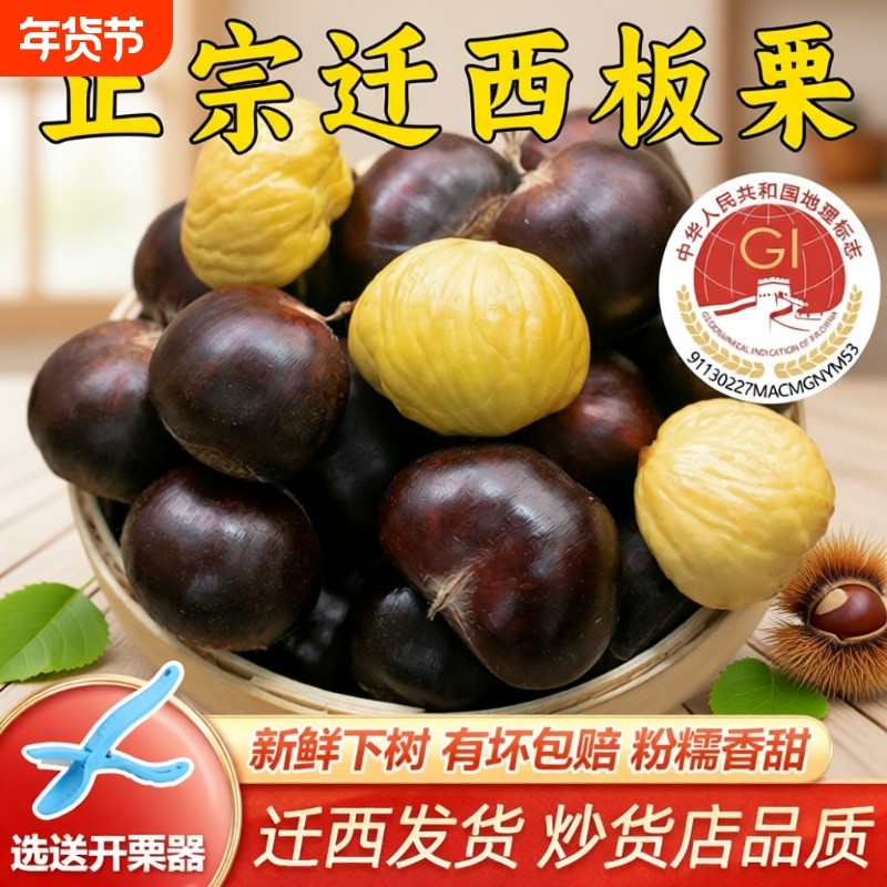 迁西新鲜板栗生鲜板栗大油栗子河北省唐山燕山板栗小毛栗子包邮