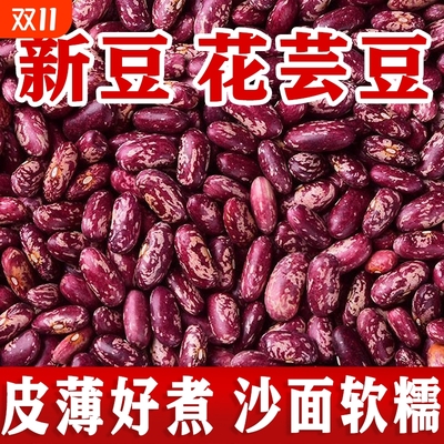 2025贵州花豆贵州红豆红芸豆饭豆云豆包邮今年新货四季豆