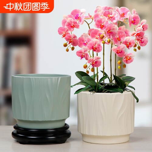 北欧简约波浪花盆陶瓷特大号带托盘绿萝蝴蝶兰家用阳台现代多肉盆