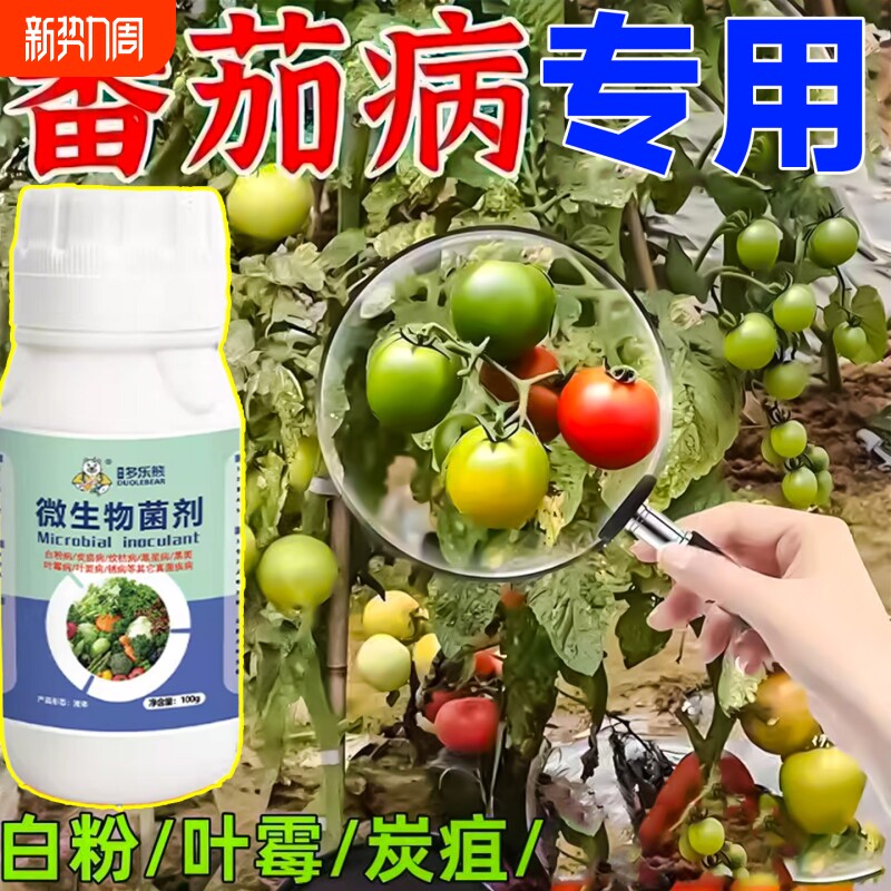 西红柿病毒病专用药卷叶枯萎裂果灰霉病炭疽病番茄病杀菌剂叶面肥