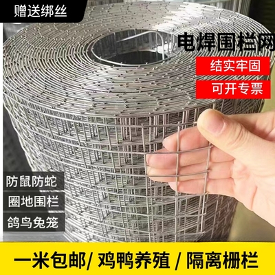 铁丝网圈地养殖鸡鸭防鼠防护