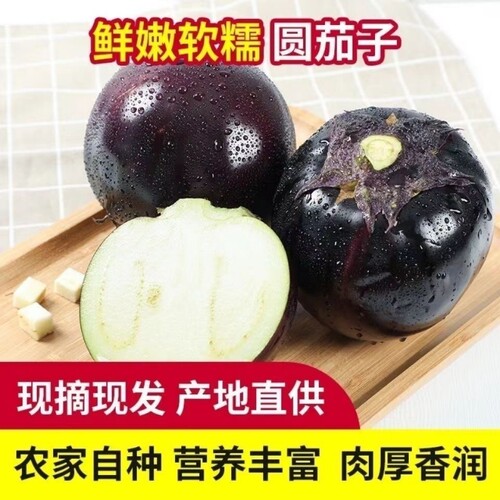 山东圆茄子圆茄当季茄子批发现摘现发农家蔬菜整箱新鲜自种鲜嫩