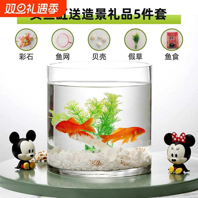 超白加厚圆柱形口不割手直筒透明玻璃金鱼缸客厅大号落地水培桌面