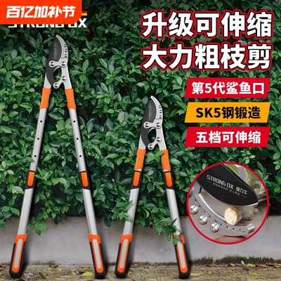 德国进口园林工具剪粗枝剪果树修枝强力树枝剪大力剪省力修剪神器