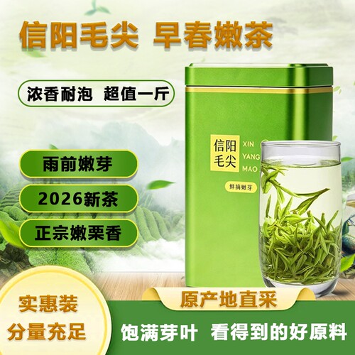 信阳明前毛尖2026新茶高山嫩芽子