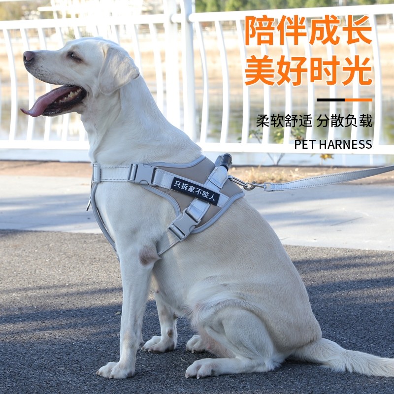 宠物胸背带防爆冲背心式拉布拉多狗链子中大型犬金毛狗狗牵引绳子