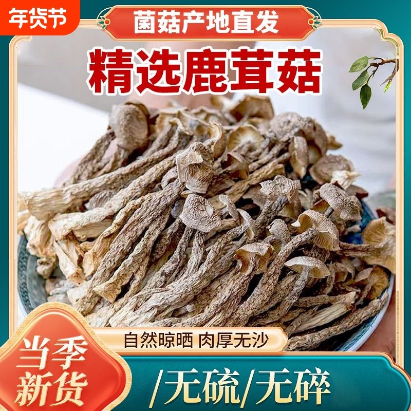 无干燥剂鹿茸菇干货鹿茸菌鹿耳菇批发菌菇蘑菇农家特产煲汤家用