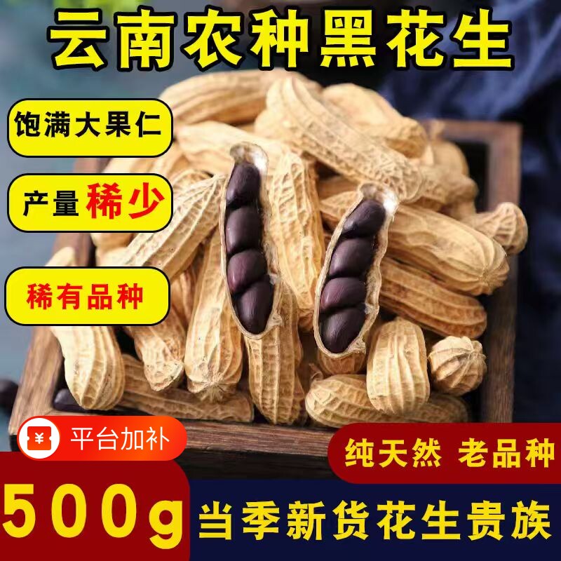 新货富硒黑花生带壳晒干的黑皮花生云南普洱黑花生仁新鲜原味食用