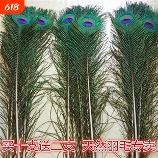 家居饰品摆件孔雀羽毛纯天然真孔雀毛花瓶装饰品孔雀翎尾婚庆艺术