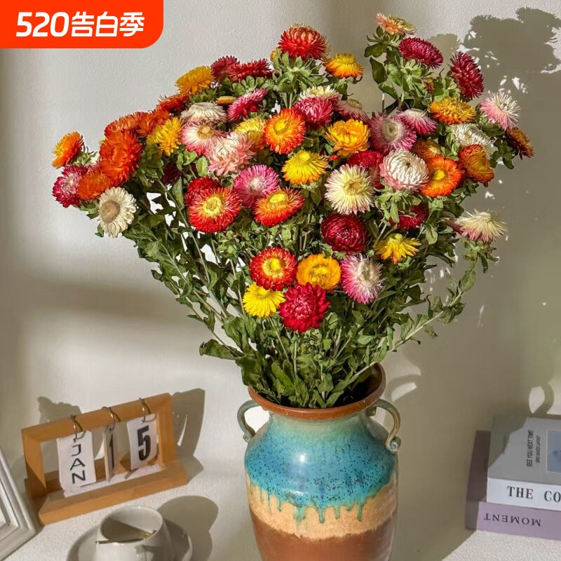 云南干花真花麦秆菊七彩菊小雏菊花束拍摄道具客厅家居装饰摆件礼