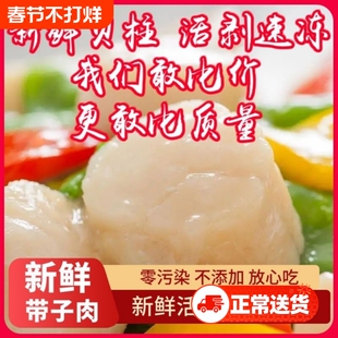 新鲜速冻新鲜带子肉贝柱带子瑶柱鲜贝瑶柱刺身新鲜扇贝柱绿贝超大