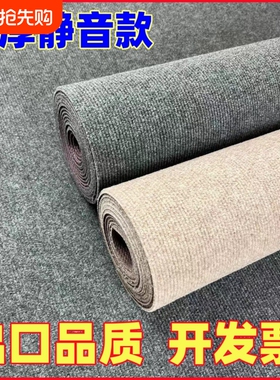 地毯商用耐脏办公室大面积家用客厅房间入户满铺隔音灰色整铺地垫