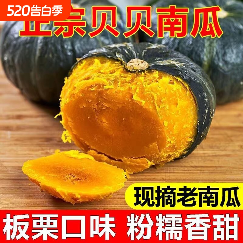 正宗新鲜贝贝南瓜粉糯香甜板栗味营养宝宝辅食