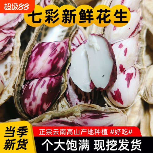 新鲜云南七彩花生现挖带壳农家水果五彩富硒点整箱包邮新货