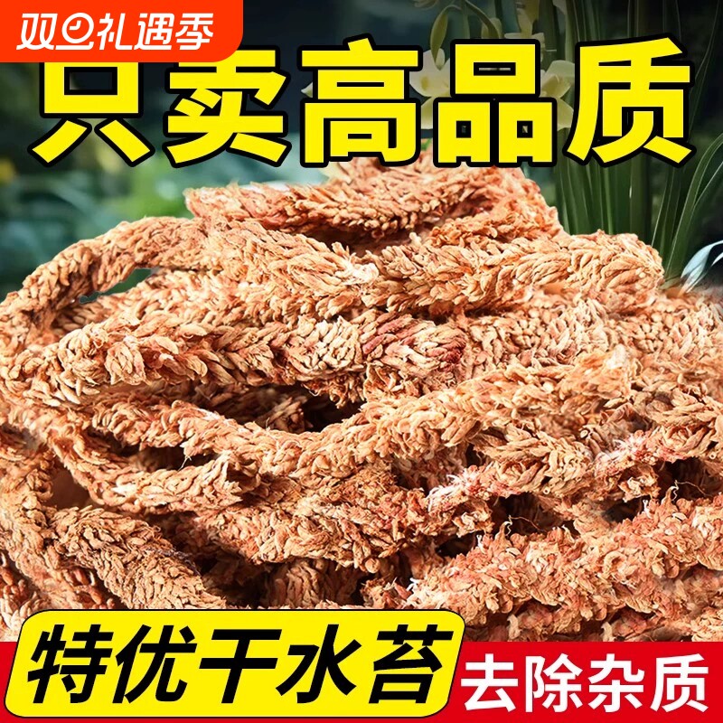 毛毛虫水苔智利进口蝴蝶兰植物兰花专用土干苔藓植料乌龟冬眠垫材