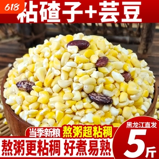 东北粘玉米大碴子粥五谷杂粮新黄粘玉米粒碎玉米糁糯玉米大碴粥