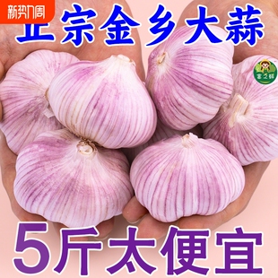 大蒜 2025年紫白皮新鲜头红皮优质蒜子便宜 十足干算
