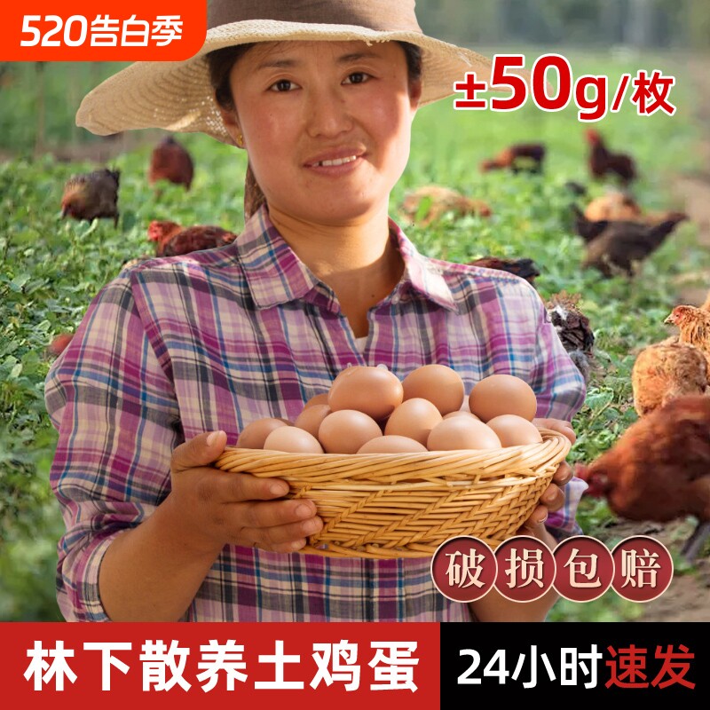 鸡蛋农家散养新鲜湖北大别山林下正宗土鸡蛋孕妇儿童早餐谷物鲜蛋