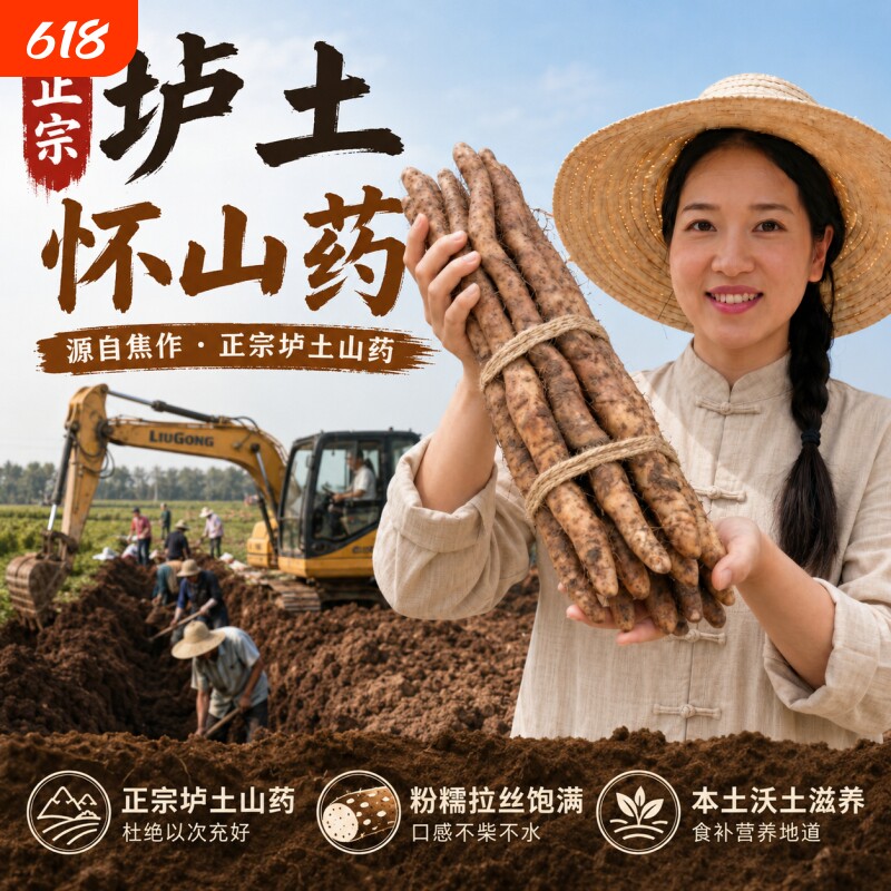 怀辅堂温县垆土铁棍山药河南焦作特产怀山药淮山药新鲜蔬菜采挖
