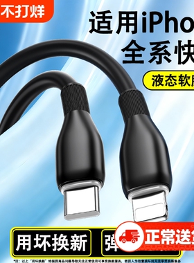 驯龙师适用苹果14充电器线iPhone13数据线17Promax手机12PD30W快充16手机11平板15车载iPad2typec转lightning
