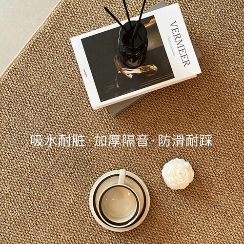 摄影棚卧室床边防猫抓地毯客厅